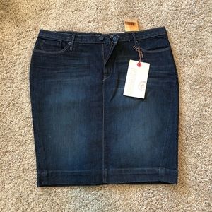 Banana Republic Jean Skirt